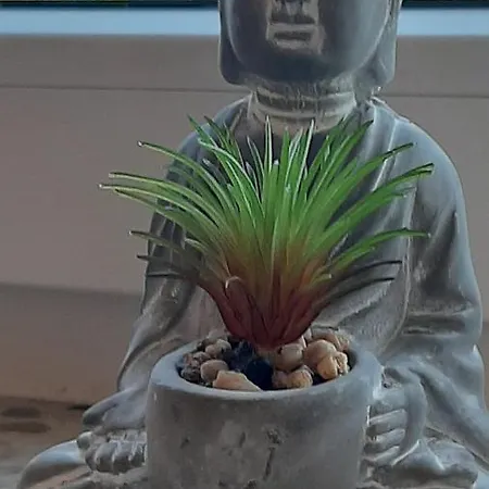 Daire Bei Schoones Ganderkesee